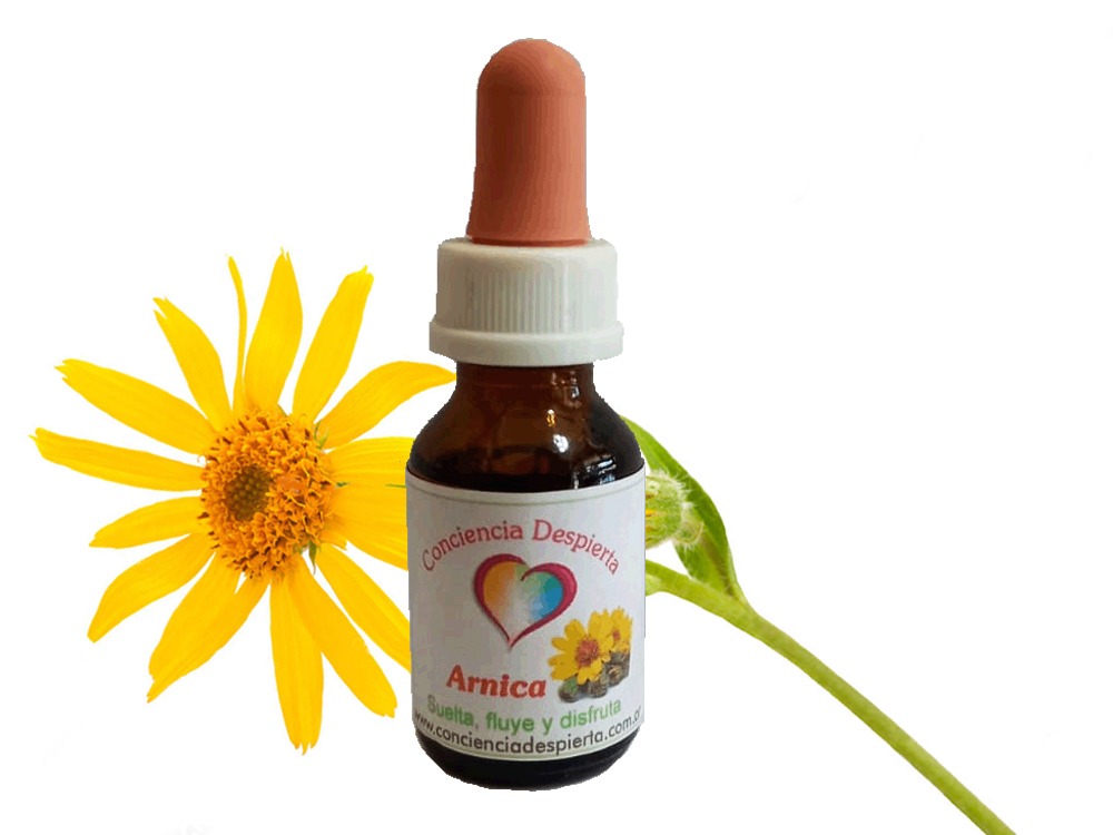 Arnica