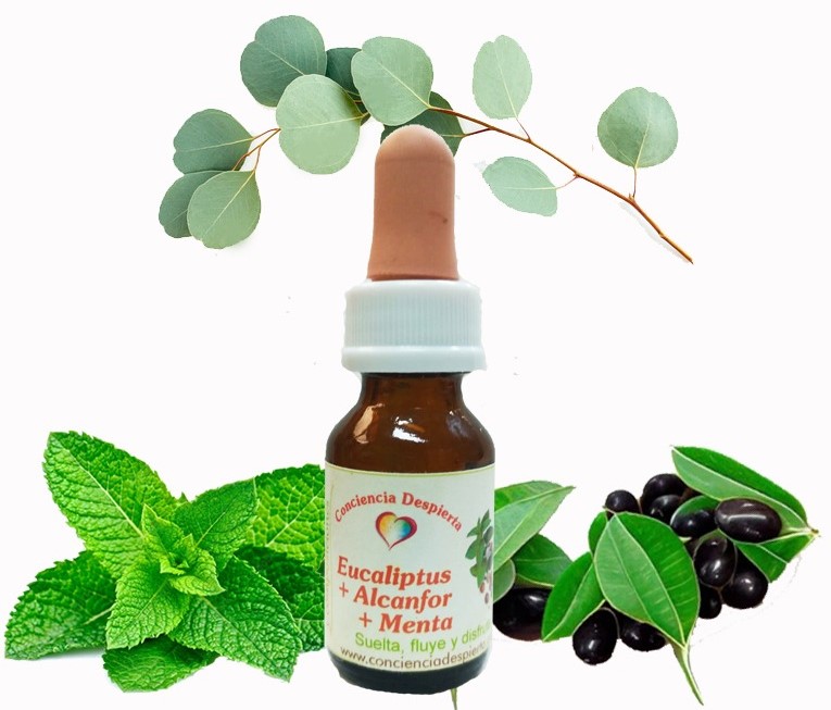 EucaliptusMentaAlcanfor