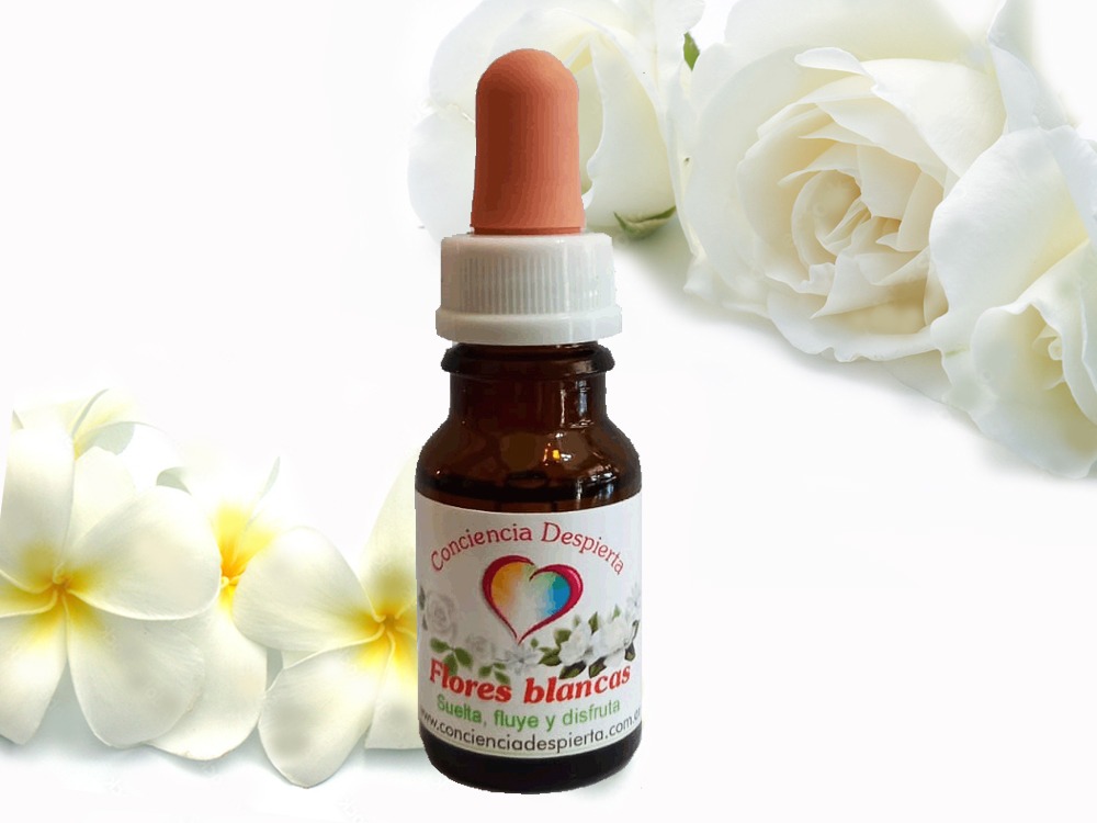 Flores blancas 