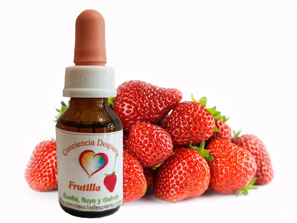 Frutilla