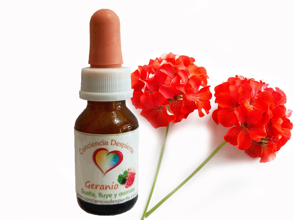 Geranio