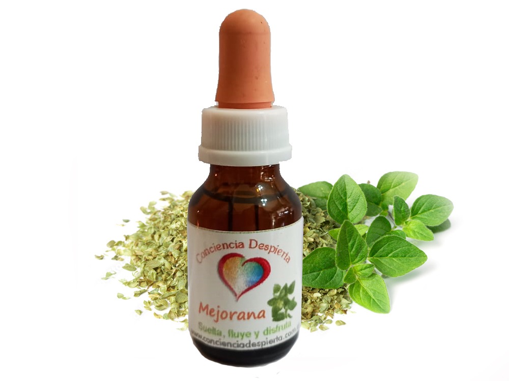 Mejorana
