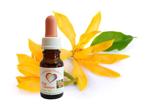 Nag champa