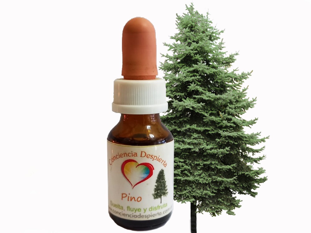 Pino