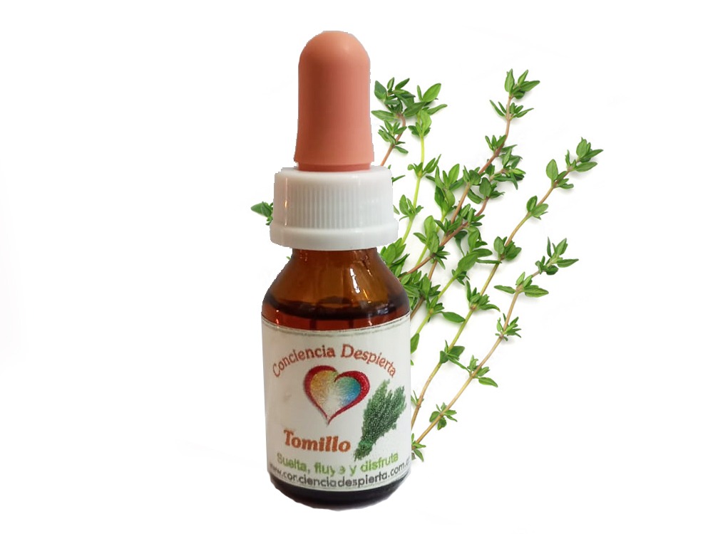 Tomillo