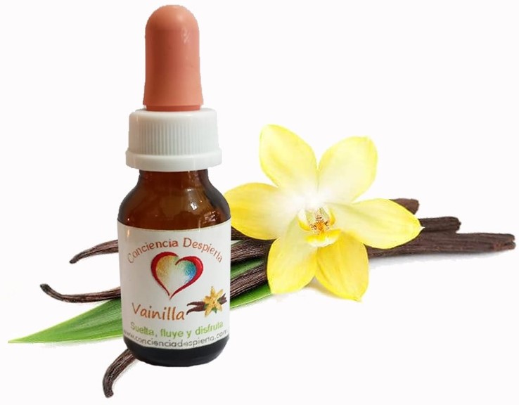 Vainilla